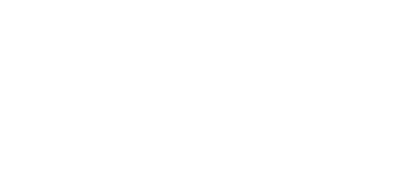 Professional Cricket Journey